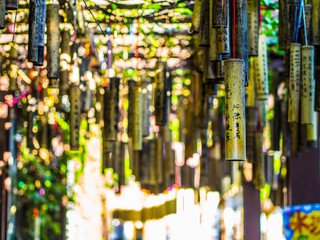 The location near Shifen waterfall, it is the local landmark where people love to write their wish on the bamboo and hanging on the street. The Chinese letter are wishes of people