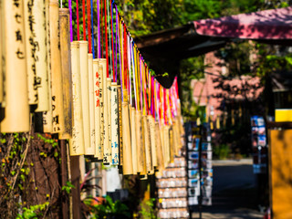 The wishing bamboo where people write the wish on them are lining in pattern along the way. It is a...