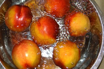 Fototapeta na wymiar Ripe peaches in clean water.