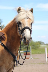 MoodyPIC04; seloenchen