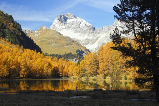 Palpuogna See gegen Piz Ela
"im goldenen Oktober"