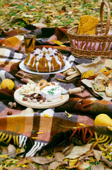 Autumn Picnic, Lunch Outdoors, Food Concept