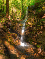 Waterfall and thicket in the park Berendeyevo Tsarstvo in sunny summer day, Sochi, Russia
