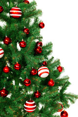 Christmas Tree isolated on white background