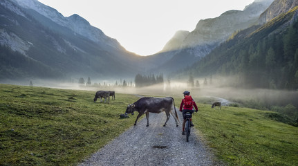 Mountainbike fahren im Karwendeltal, Oesterreich