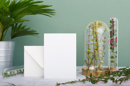 Vertical greeting card mockup background surrounded by plants in terrariums