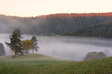 Autumn landscape - Black Forest. View of a valley in the Black Forest on a foggy morning.