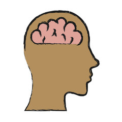human brain icon