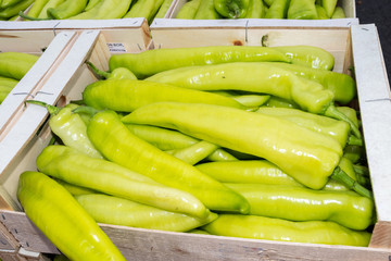 stock de piments verts.