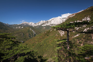 Fototapeta na wymiar Velebit mountain in Paklenica National Park
