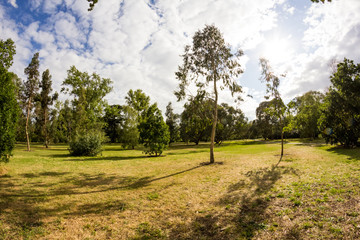 View from Kew Gardens, Royal Botanical Gardens in London. Fish eye lens effects
