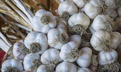 Garlic Bundles Closeup
