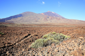 El Teide National Park on Tenerife Island, Canary Islands, Spain