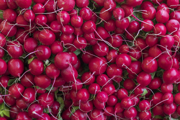 Radishes on a market stall