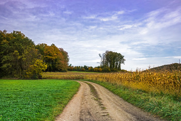 Fototapeta na wymiar Landschaft Im Herbst