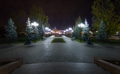 A night alley in a park with lighting