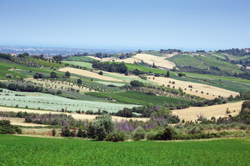 Fototapeta na wymiar Rural Italian landscape in Tuscany