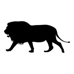 black silhouette of running lion on white background of vector illustration