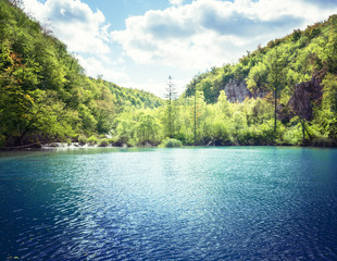 lake in forest of Croatia