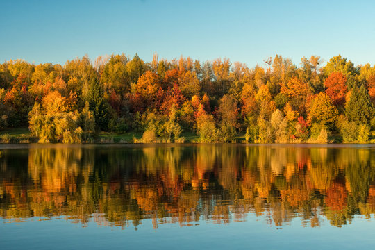 Trees in the autumn countryside with lake mirroring © Jiri Dolezal