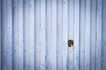 Steel metal or background of metal