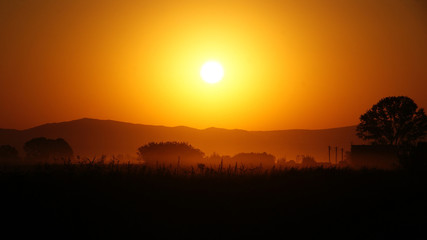 Rising Sun