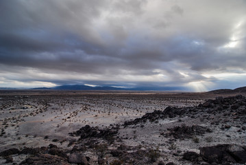 Wonder Valley, Mojave Desert, CA