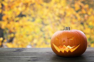 halloween pumpkin on autumn leaves background