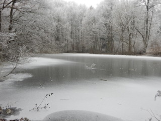 Winterlandschaft