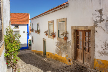 Fototapeta na wymiar Historic Portuguese village of Obidos and narrow streets with cobblestone.