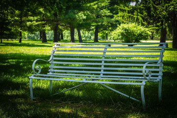 Park Bench