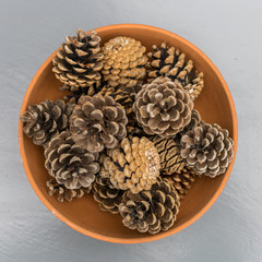 Pine cone