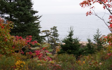 Indian Summer