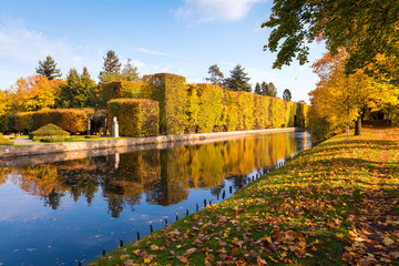 Fototapeta Pond in autumnal Oliwski park in Gdansk, Poland. obraz