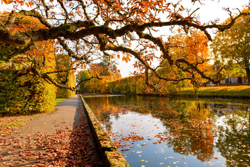 Fototapeta Pond in the Oliwski Park in sunny autumn day. obraz