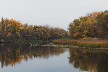 Panoramic landscape with forest lake in autumn