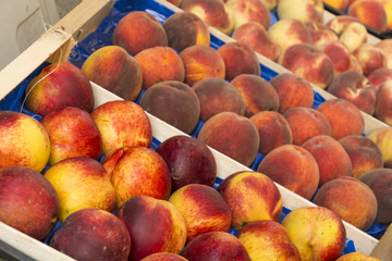 Cassetta di pesche sul banco del  fruttivendolo