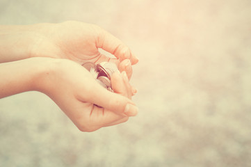 The young woman hands are holding a handful of coins. Fake color. Outdoor.A borrow concept. Instagram filter