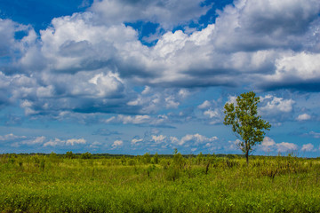 Bonnet Carrie Spillway