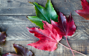 Colorful leaves on wooden background.