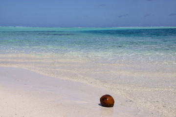 Fototapeta na wymiar Tahiti plage coco