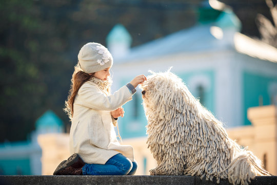 Cute little girl with her dog puli sitting on the ground. Walk around the city.