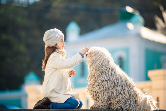 Cute little girl with her dog puli sitting on the ground. Walk around the city.