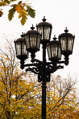 Fototapeta na wymiar park lantern consisting of five lamps