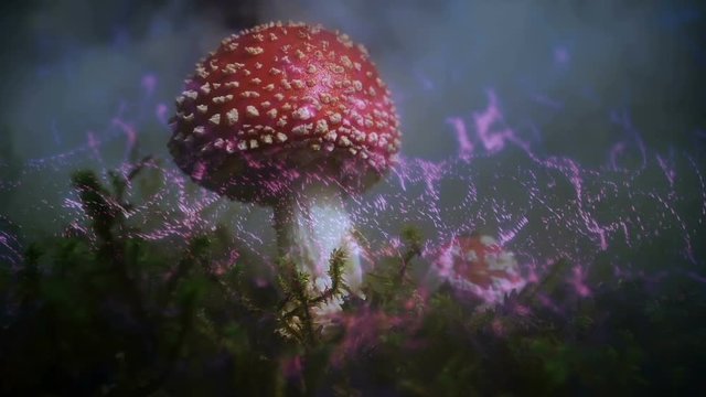 Magic mushroom sparkling spore cloud, Amanita Muscaria abstract.mov