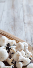 Champignon Mushrooms  on a table
