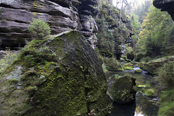Wild autumn Landscape around the Creek Kamenice in the Czech Switzerland with Sandstone Boulders, Czech Republic