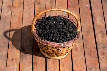 Basket of blackberries 