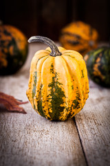 Autumn Pumpkins Decoration