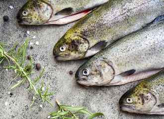 Rainbow trouts on a stone board with herbs
